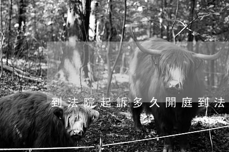 到法院起訴多久開庭(到法院起訴后多久開庭)