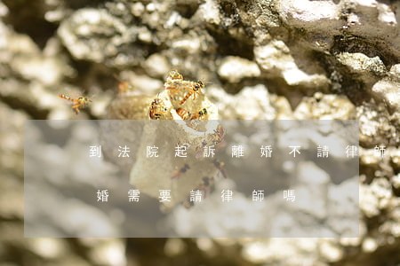 到法院起訴離婚不請律師可以嗎(法院起訴離婚需要請律師嗎?)