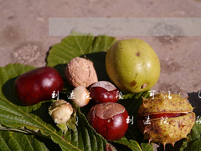 到法院階段還可以認(rèn)罪認(rèn)罰嗎(到法院階段還可以認(rèn)罪認(rèn)罰嗎)