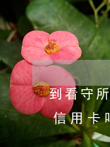 到看守所不还信用卡可以吗(进过看守所能办信用卡吗)