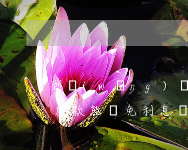 到網(wǎng)點(diǎn)銀行還逾期款能減免利息嗎-到網(wǎng)點(diǎn)銀行還逾期款能減免利息嗎是真的嗎