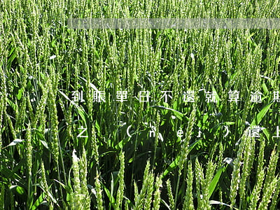 到賬單日不還就算逾期么(賬單日到期后幾天之內(nèi)還上不算逾期)