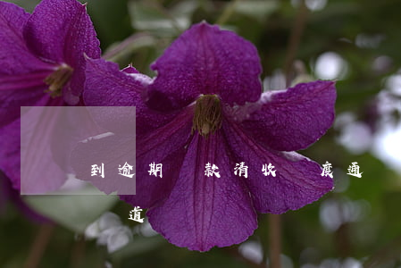 到逾期貸款清收進度通報(清收不良貸款通訊報道)