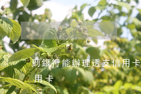 到銀行能辦理透支信用卡嗎(怎樣辦理透支信用卡)