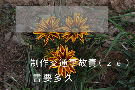 制作交通事故責(zé)任認(rèn)定書要多久