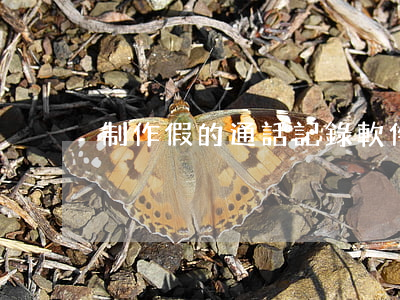 制作假的通話記錄軟件(怎么弄假的通話記錄)