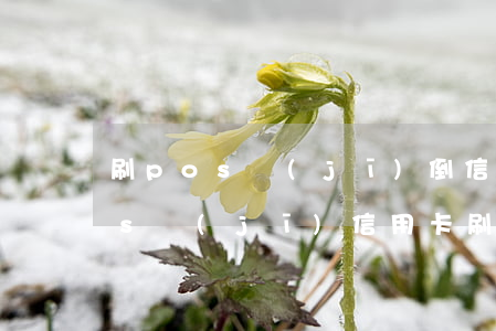 刷pos機(jī)倒信用卡最后逾期(pos機(jī)信用卡刷錯(cuò)了儲(chǔ)蓄卡)