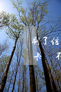 刷了信用卡不還會(huì)坐牢嗎(刷信用卡還不起會(huì)不會(huì)坐牢)