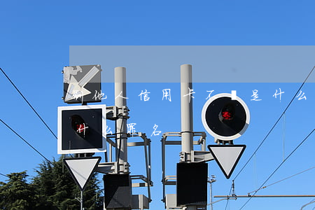 刷他人信用卡不還是什么罪(刷別人信用卡是什么罪名)