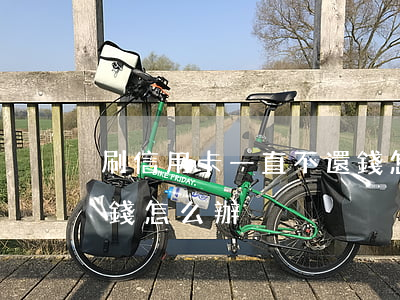 刷信用卡一直不還錢怎么辦(刷信用卡還不上錢怎么辦)
