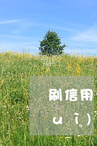 刷信用卡不逾期影響房貸嗎(刷信用卡會(huì)影響買房子貸款嗎)