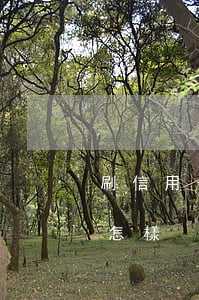 刷信用卡不還后果怎樣(信用卡還不上后果是怎樣)