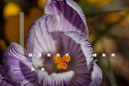 刷信用卡不還會被判刑嗎(信用卡還不上會被判刑嗎)