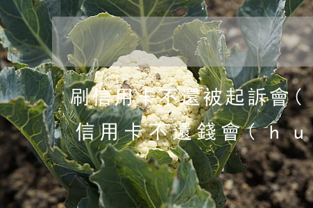 刷信用卡不還被起訴會(huì)怎么樣(刷信用卡不還錢會(huì)怎樣)