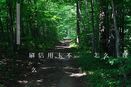 刷信用卡不還錢怎么處理(信用卡不能刷了怎么辦)