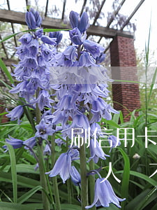 刷信用卡借錢給別人不還錢(刷信用卡借錢給別人錢不還怎么辦)