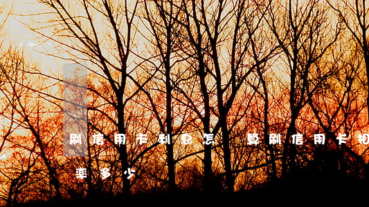 刷信用卡利息怎樣算(刷信用卡相當于貸款利率多少)
