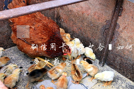 刷信用卡刷多少合適，如何合理使用信用卡：刷多少最合適？