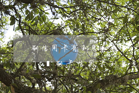 刷信用卡有利息和手續(xù)費(fèi)嗎（刷卡信用卡利息是多少）