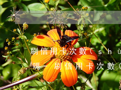 刷信用卡次數(shù)多不逾期影響征信嗎-刷信用卡次數(shù)多不逾期影響征信嗎知乎
