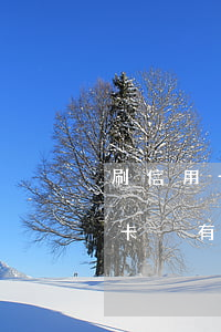 刷信用卡沒有逾期會記錄到征信嗎-刷信用卡沒有逾期會記錄到征信嗎