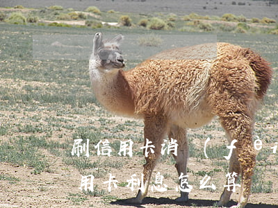 刷信用卡消費(fèi)利息怎么算（刷了信用卡利息怎么算）