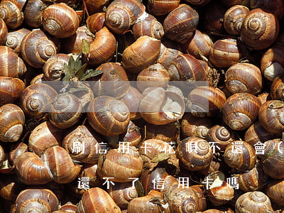 刷信用卡花唄不還會(huì)怎么樣(花唄還不了信用卡嗎)