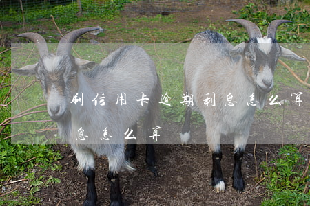 刷信用卡逾期利息怎么算(信用卡逾期還款利息怎么算)