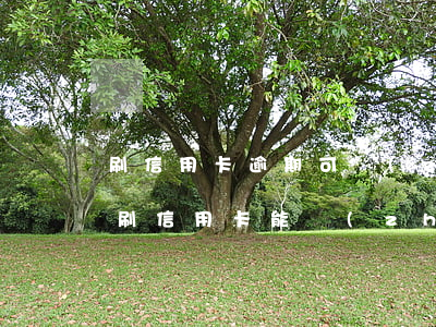 刷信用卡逾期可轉(zhuǎn)為貸款嗎(刷信用卡能轉(zhuǎn)賬嗎)