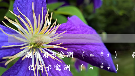 刷信用卡逾期沒(méi)還利息怎么算(刷信用卡逾期沒(méi)還會(huì)怎么樣)