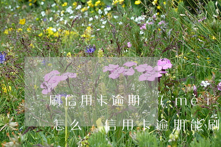 刷信用卡逾期沒(méi)還會(huì)怎么樣（信用卡逾期能刷余款嗎）