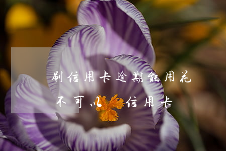 刷信用卡逾期能用花唄嗎-花唄逾期是不是不可以辦信用卡