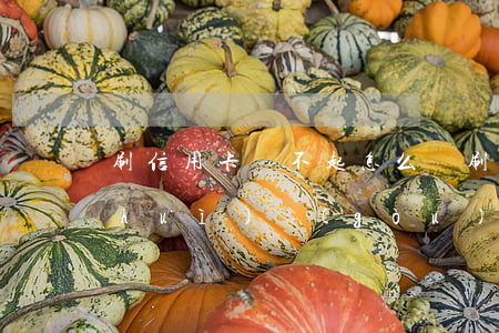 刷信用卡還不起怎么辦 刷信用卡還不上會(huì)構(gòu)成什么罪名