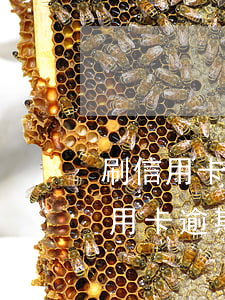 刷信用卡還信用卡惡性循環(huán)（信用卡逾期循環(huán)還款）