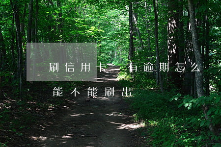 刷信用卡還有逾期怎么辦(信用卡逾期還款還能不能刷出來)