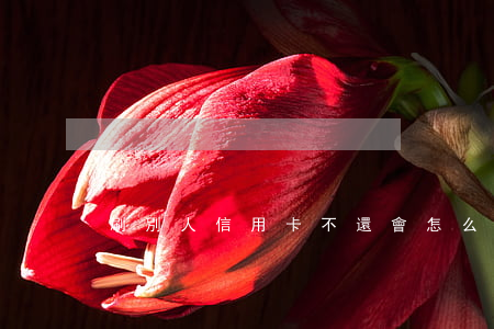 刷別人信用卡不還會怎么樣(刷信用卡不用還)