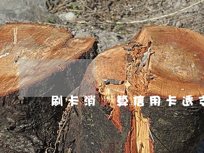 刷卡消費算信用卡透支嗎(信用卡可以透支消費嗎)