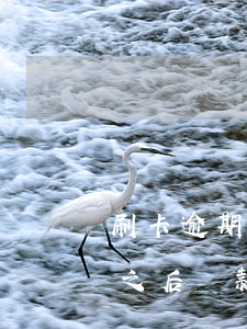 刷卡逾期還款怎么恢復(fù)(信用卡逾期之后還款還能刷出來(lái)嗎)