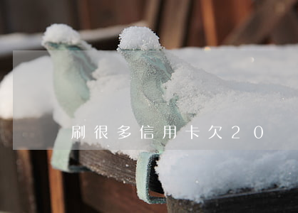 刷很多信用卡欠20萬