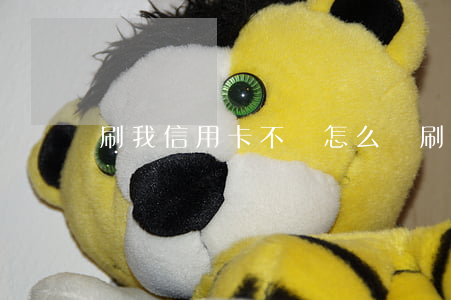 刷我信用卡不還怎么辦(刷我信用卡不還怎么辦)
