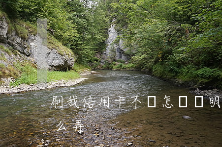 刷我信用卡不還怎樣證明(信用卡還款證明怎么弄)