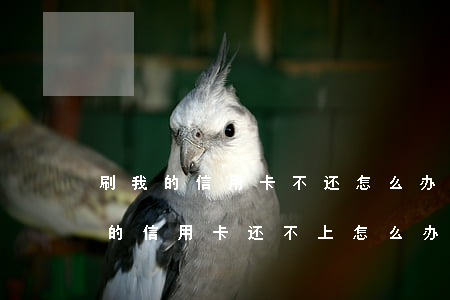刷我的信用卡不还怎么办(如果别人刷了自己的信用卡还不上怎么办)
