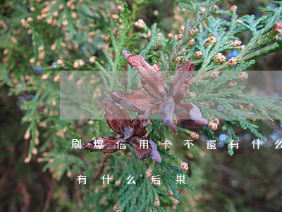 刷爆信用卡不還有什么后果(刷爆信用卡不還有什么后果)