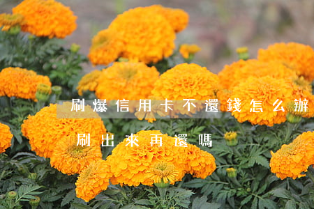 刷爆信用卡不還錢怎么辦(信用卡錢不夠可以刷出來再還嗎)
