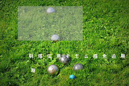 刷爆信用卡怎么避免逾期(怎樣避免信用卡逾期)