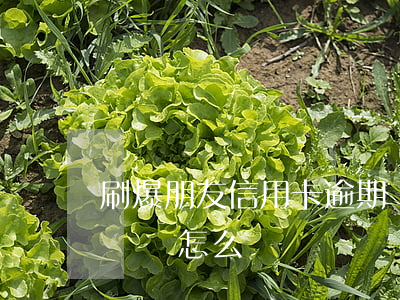 刷爆朋友信用卡逾期還不上(刷信用卡逾期沒還會怎么樣)