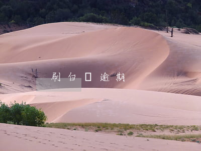 刷白條逾期