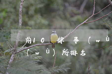 前10強律師事務(wù)所(十大律師事務(wù)所排名)