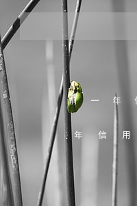 前一年信用卡逾期辦車貸影響嗎怎么辦（前一年信用卡逾期辦車貸影響嗎）