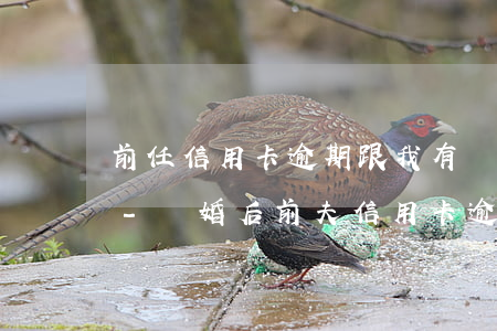 前任信用卡逾期跟我有關(guān)系嗎-離婚后前夫信用卡逾期跟我有關(guān)系嗎